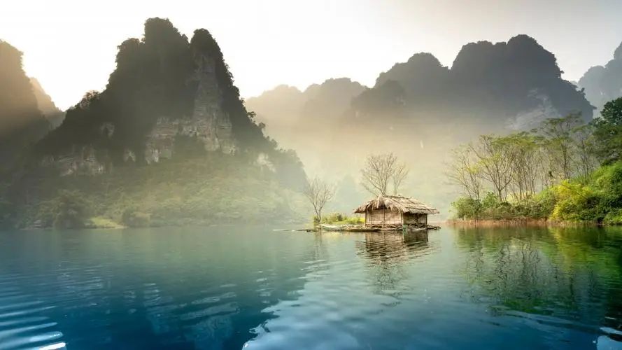 智慧全自动高效